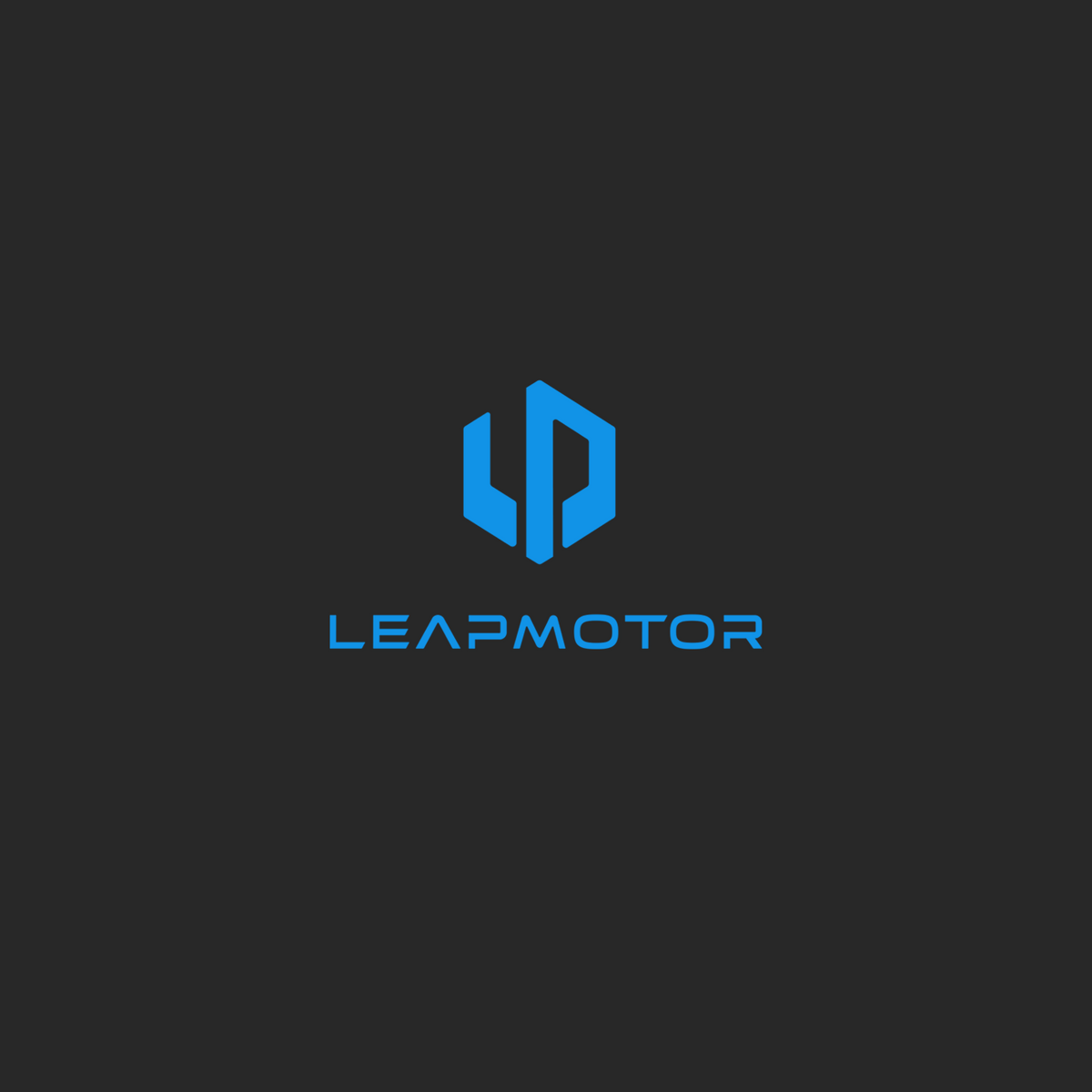 Leapmotor Wind Deflectors
