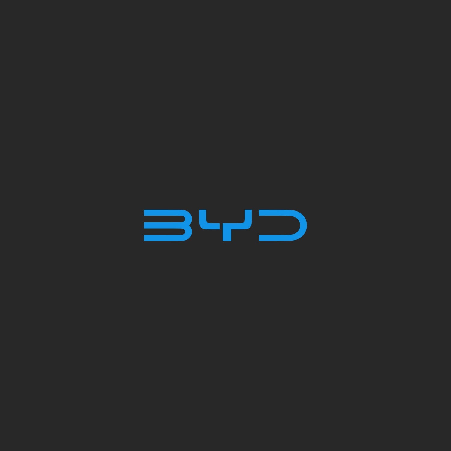 BYD Wind Deflectors