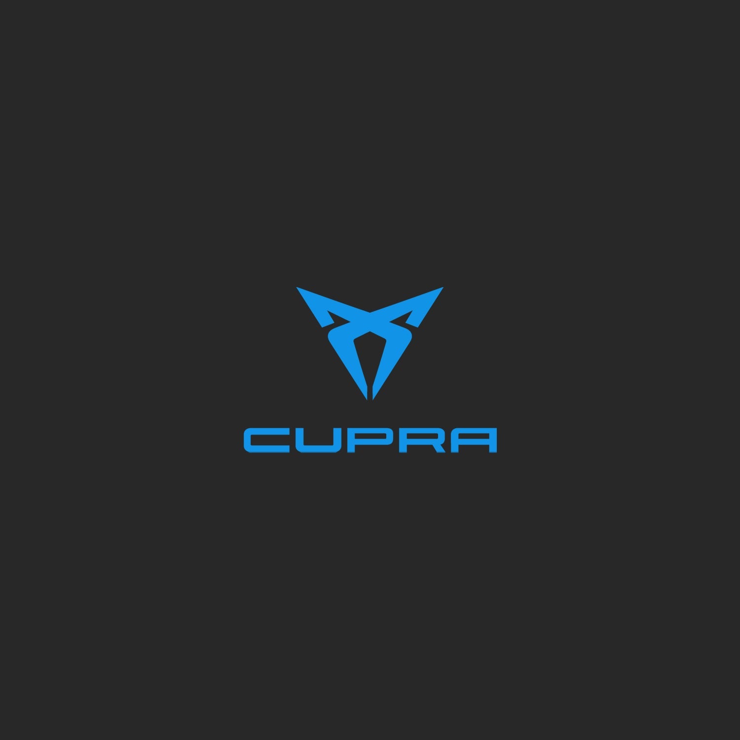 Cupra Wind Deflectors